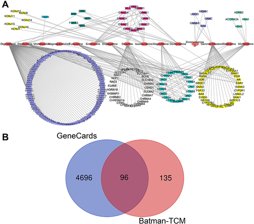 Figure 3 Screening of 15 active compounds and target genes of Sinomenium acutum. (A) The regulation network diagram of the 15 active compounds of Sinomenium acutum and their targets drawn by Cytoscape software. (B) Venn diagram of the target genes of the 15 active compounds and the screened genes in GeneCards database.