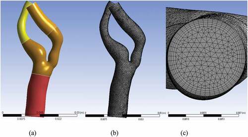 Figure 4. Virtual topology, surface and inflation mesh; (a) four virtual cells, (b) surface mesh without any dense mesh at the boundaries of virtual cells, (c) inflation mesh with five layers.