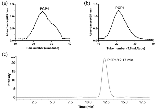 Figure 3. Isolation, purification, and homogeneity analysis of polygonatum cyrtonema Hua polysaccharide 1 (PCP1). (A) DEDE-52 elution curve, (b) sephadex-G-75 elution curve, and (c) high performance gel permeation chromatography (HPGPC) spectrogram.