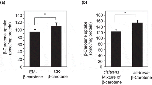 Figure 7. The uptake of β-carotene by Caco-2 cells. Caco-2 cells were treated with solubilized β-carotene for 2 h. The cells and β-carotene for the treatments were prepared as described in the Materials and Methods section. (a) β-Carotene solubilized fraction (mixed bile salt micelles) from formulations in the in vitro digestion test. (b) β-Carotene solubilized in the synthetic mixed micelles. Data are the mean ± SD values of four wells in a single experiment. Replicate experiments showed a similar trend. The asterisk indicates a value with statistically significant difference by the unpaired t-test (p < 0.05)