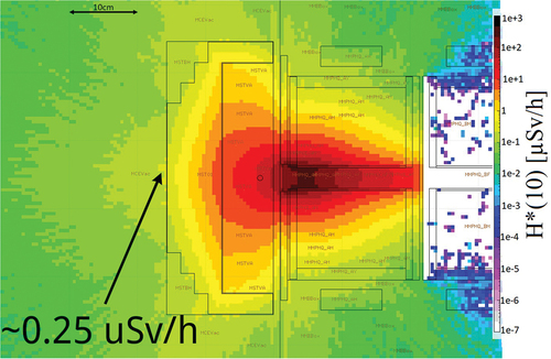 Fig. 12. Residual dose rate studies of the first quadrupole of ELIMAIA after 1 year of operation and 1 h of cooldown time with stainless steel shielding. H*(10) rates are significantly reduced with respect to the scenario without the shielding (see Fig. 11).