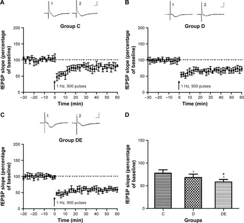 Figure 4 Effects of ECS on LTD.