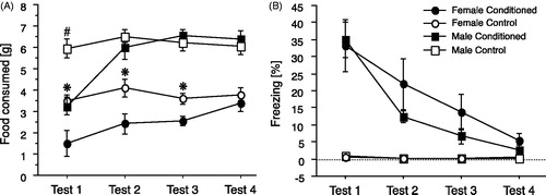Figure 9. (A) Food consumption (mean ± SEM) of male and female rats during tests with fear cue presentations. During training, rats in the conditioned groups received tones paired with footshocks, while rats in the control groups received tones but no shocks. Tests were conducted on separate days, under acute food deprivation (no footshocks given during tests). Significant differences (p < 0.05) between Conditioned and Control groups are indicated by * for females and by the # for males. (B) Conditioned freezing behavior during food consumption tests. Graphs show percentages (mean ± SEM) of the total time spent freezing during the tests. Adapted from Petrovich & Lougee (Citation2011), with permission.