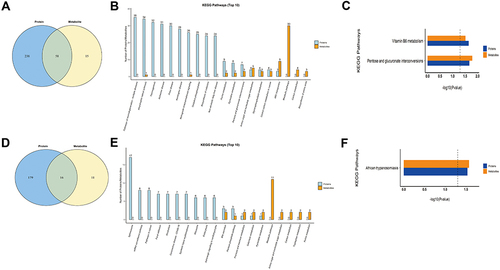 Figure 7 Combined analysis of metabolomics and proteomics. (A) The Venn diagram of the pathways involved in the differential metabolites and proteins between HCCT-LC group and DC group, and the overlap represents the shared pathways. (B) The top 10 pathways in quantity of metabolites and proteins co-participation between HCCT-LC group and DC group. (C) The KEGG pathway enrichment based on the differential metabolites and proteins between HCCT-LC group and DC group. (D) The Venn diagram of the pathways involved in the differential metabolites and proteins between HCCT-LC and HCCT-NLC group, and the overlap represents the shared pathways. (E) The top 10 pathways in quantity of metabolites and proteins co-participation between HCCT-LC and HCCT-NLC group. (F) The KEGG pathway enrichment based on the differential metabolites and proteins of HCCT-LC and HCCT-NLC group. Different colors represent different omics, blue represents proteomics, and Orange represents metabolomics.