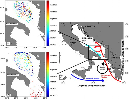 Figure 4.4.1. Map of the positions (colour coded for time) of the floats (a) WMO 6901822 and (b) WMO 6901827 in the South Adriatic Pit. The trajectory of both the floats is confined to the SAP. Sub-figure (c) demonstrated the main circulation scheme of the area. The CMEMS product reference 4.4.1 is used (two Argo float data were selected).