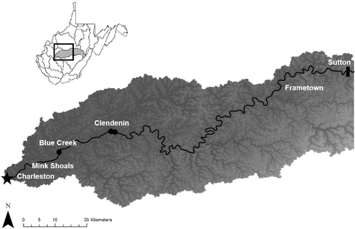 Figure 1. Map of the lower 190 rkm of the Elk River watershed shaded by elevation below the dam (black rectangle) in Sutton, WV, USA. Western sand darters have been detected from Mink Shoals to Clendenin and eastern sand darters have been detected from Mink Shoals to Frametown. The black circles represent the three sand darter collection locations.