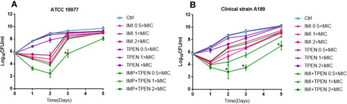 Figure 3 Time–kill kinetic assays. In vitro TK assays were conducted with reference strain ATCC19977 (A) and an imipenem-resistant clinical isolate, A189 (B). The bacteria were incubated in the presence of either imipenem or TPEN alone, or in combination at the various concentrations shown. The MIC of imipenem for ATCC19977 and A189 was 16 and 32 mg/L, respectively; the MIC of TPEN was 64 mg/L for both. A bactericidal effect was defined as ≥2 log reduction in CFUs compared to 2×MIC imipenem alone in TK assays. *≥2 log reduction in CFUs.
