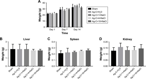 Figure S2 Body and organ weight.Notes: Body and organ weight after treatment with Ag-C and different concentrations of NaCl under normal conditions (A–D). The average content of Na to each mouse in different tissues was analyzed (E–G). There were no statistical differences between groups.Abbreviation: Ag-C, carbon membrane packaged Ag nanoparticles.