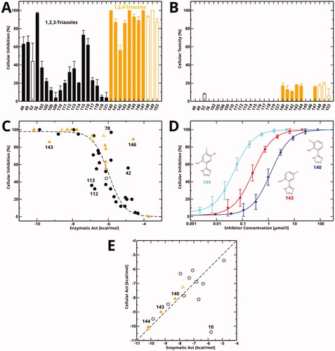 Figure 6. Cellular inhibition and comparison to enzymatic inhibition. (A) Cellular inhibition of kynurenine production at a single compound concentration. Data for 1,2,3-triazole compounds is shown in black, for 1,2,4-triazoles in orange. Values measured at a compound concentration of 200 µM are given in filled bars, values measured at 50 µM in empty bars. (B) Cellular toxicity under the same conditions and using the same colour code as part (A). (C) Cellular inhibition as a function of enzymatic activity (Act = RTlog(IC50)). The dashed line is a sigmoidal fit to all data points except for the marked outliers. Compounds measured at a concentration of 50 µM are marked by empty symbols. (D) Cellular dose-response curves of compounds 140, 143, and 144 measured in this work. (E) Correlation between cellular activity and enzymatic activity for compounds mentioned in this manuscript. Colour code as in part (A). Filled symbols denote the newly determined data shown in part (D).