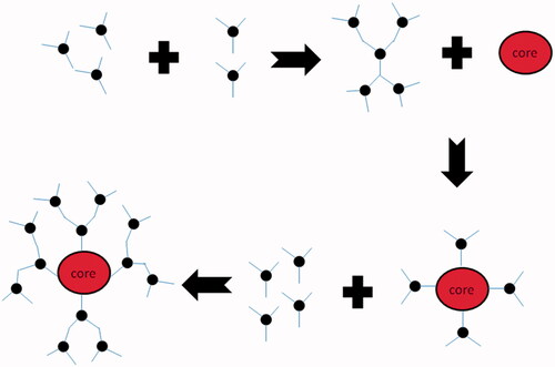 Figure 4. Schematic representation of convergent method of synthesis of dendrimers.