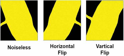 Figure 16. Example of horizontal and vertical flip label noise.