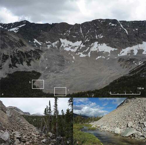 Figure 3. Hellraving rock glacier (#105). (a) North-facing rock wall and Hellraving rock glacier; (b) uppermost collection of sampled trees partially buried in the rock glacier toe debris; and (c) rock glacier toe and surrounding ponded area. Both smaller images were taken facing downslope