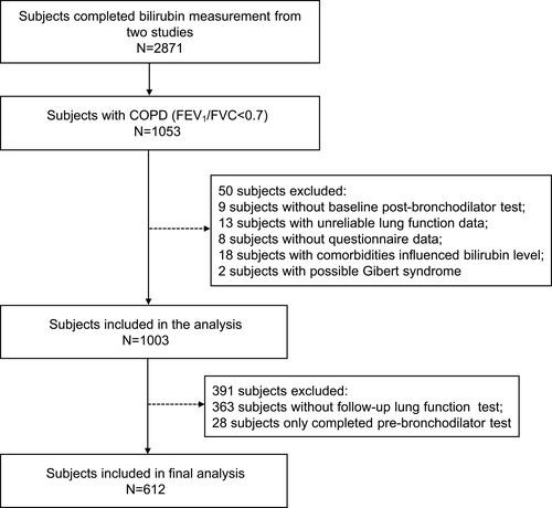 Figure 1 Flow chart of participant selection.