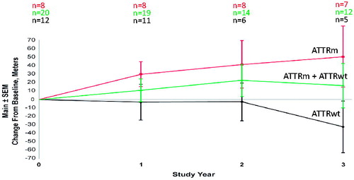Figure 4. Center line: 6MWT in patients tested at 1, 2, and 3 years. Mean 6MWT increased by 10.63 (n = 19), 22.2 (n = 14) and 16.5 (n = 12) meters compared to baseline at 1, 2, and 3 years respectively. Top line: 6-MWT in ATTRm patients. Mean 6-MWT increased by 29.3 (n = 8), 40.9 (n = 8) and 50.2 (n = 7) meters at 1, 2, and 3 years respectively. Bottom line: 6-MWT in ATTRwt patients. Mean 6MWT decreased by 3 (n = 11), 2.6 (n = 6), and 31.7 (n = 5) metres compared to baseline at 1, 2, and 3 years respectively.