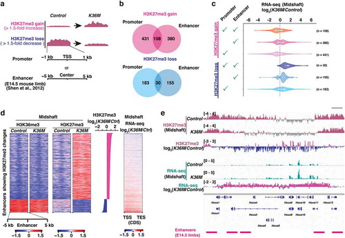 Figure 4. Altered H3K27me3 at the regulatory elements is associated with impaired transcriptional control
