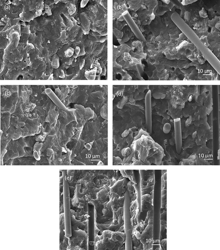 Figure 7. SEM images of the fracture surfaces of (a) PP1, (b) PP3, (c) PP4, (d) PP7 and (e) PP8.