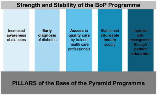 Figure 1. The five pillars of the BoP programme.