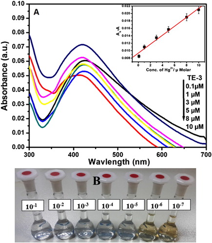 Figure 5. (A) UV–visible spectra of AgNPs with different concentrations of Hg2+ (0.1–10 µM) in aqueous solution (inset). Variation of the absorbance of AgNPs solution as a function of Hg2+ ion concentration. (B) Images of color variations of AgNPs with different concentrations of Hg2+ (10−1–10−7 M) in aqueous solution.