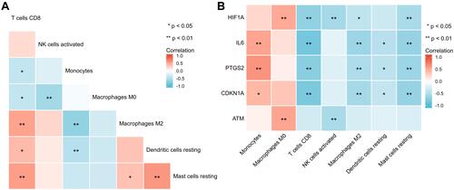 Figure 10 Differentially infiltrated immune cells and hub genes. (A) Heatmap of correlations of differentially infiltrated immune cells. (B) Heatmap of correlations of hub genes with differentially infiltrated immune cells. The significance markers are shown as: *, P<0.05; **, P<0.01.