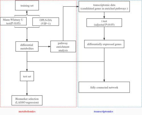 Figure 1 An overview workflow of the comprehensive analysis of metabolomics and transcriptomics in tuberculosis.