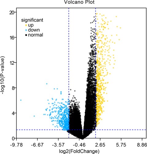 Figure 1. Volcano map of DEGs. Yellow represents up-regulated genes, blue represents down-regulated genes, and black represents no statistically significant genetic difference.