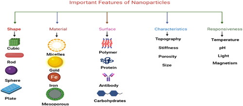 Figure 6. Important features of various NPs.