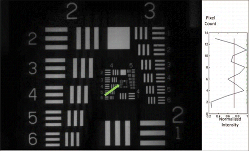 Figure 16 AgilOptics: corrected image at 5°mirror tilt. (Figure is provided in color online.).