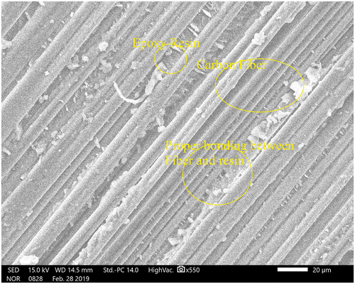 Figure 8. SEM image of carbon fiber-reinforced epoxy composite.