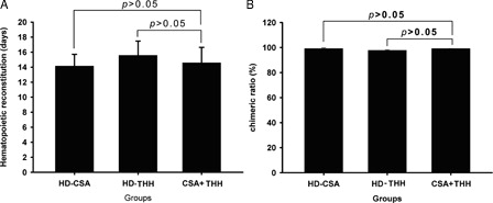 Figure 3. The hematopoietic reconstruction time (A) and chimerism rate (B) were determined in different drugs and drug concentrations treatment groups. (A) The hematopoietic reconstruction time in different drugs and drug concentrations treatment groups. The median time of hematopoietic reconstruction of the HD-CSA, HD-THH, and CSA + THH is given in days. There was no significant hematopoietic reconstruction time difference observed between any two groups. (B) The chimerism rate of the donor at +30 days after transplantation. To detect the chimerism of the donor cells after transplantation, mouse bone marrow MNCs were isolated at 30 days after transplantation, and 2 × 105 MNCs were mixed thoroughly with FITC-conjugated anti-H-2Kb and PE-conjugated anti-H-2Kd by vortexing. After incubation at room temperature in the dark for 20 minutes, hemolysin was added, and the samples were mixed thoroughly and incubated for 5–8 minutes in the dark. After washing twice with 1 × phosphate buffer solution, the ratio of H-2Kb+ and H-2Kd+ was analyzed by flow cytometry. The HD-CSA, HD-THH, and CSA + THH values are given as the control group %. There was also no significant difference in the chimerism rate observed between any two groups.