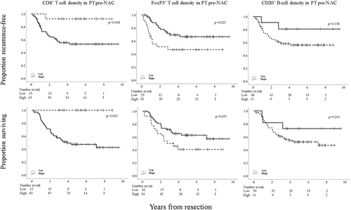 Figure 4. Kaplan-Meier estimates of TTR and OS in strata according to low and high total density of CD8+, FoxP3+, and CD20+ cells in PT pre-NAC in the entire cohort, defined by CRT analysis. Prognostic cutoff points based on CRT analyses for the different immune markers in PT pre-NAC, respectively, were as follows; high CD8+ >4.0%, high FoxP3+ >2.5%, high CD20+ >45.0%