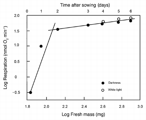 Figure 2 Bivariate plot of log10-transformed data for cellular respiration (R) versus fresh mass (Mf) during germination and seedling development. Sunflower seeds were raised in the dark or, after 3 days of plant growth, irradiated with continuous white light (WL). Lines are reduced major axis (RMA) regression curves (summary statistics provided in the text).