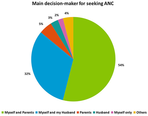 Figure 2 Main decision-makers for seeking ANC.
