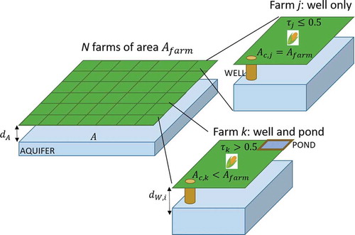 Figure 1. Schematic representation of the system modelled. The farmed land (top) sits on the aquifer A and is divided into patches (squares), each representing a farm. The farmers (one for patch) are the agents, making strategic decisions relative to their farm. Farms are of the same size (Afarm), but the cultivated area can differ from farm to farm, depending on whether the farmer has invested in an on-farm pond or not. Two farms with contrasting features are presented on the right. In farm j, the farmer is short-view oriented (τj<0.5), hence relies only on groundwater for irrigation and can cultivate the entire farm. In farm k, the farmer is long-view oriented (τk>0.5), hence invested in an on-farm pond (blue square), which occupies a part of the farm, thus reducing the cultivated area Ac,k.