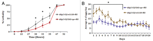 Figure 5 Partial ablation of adult IPCs increases starvation resistance and impairs female fecundity. (A) Adult IPC KD flies are more resistant to starvation than controls. Fourteen-day-old control (dilp2-GS/w1118) and adult IPC KD (dilp2-GS/UAS-reaper) flies raised on RU-486 containing diet since eclosion were placed in 1% agar vials and the number of dead flies was counted at noted time intervals. No difference in survival was observed between control and IPC KD flies raised on diluent (ethanol) containing diet (data not shown). Three independent assays were performed and a representative experiment is shown for males. Similar differences were seen for males and females. All values are presented as mean ± S.E.M. *p < 0.05. Each experiment included 5–8 vials with 20 flies in each vial, total of 100–160 flies for each condition. (B) Impaired female fecundity in the early reproductive period is the result of adult-specific partial IPC ablation. Virgin control (dilp2-GS/w1118) and adult IPC KD (dilp2-GS/UAS-reaper) females were placed in vials with RU-486 containing diet as single mating pairs. Average number of eggs per day for 20 individual females was determined from daily counts of eggs produced.Citation18 Two independent experiments were performed with similar results. Results from one representative experiment are shown. All values are presented as mean ± S.E.M. *p < 0.03. No difference in egg production was observed between control and adult IPC KD flies raised on diluent (ethanol) containing diet (data not shown).