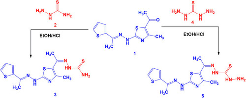 Scheme 1 Synthesis of thiosemicarbazone 3 and thiocarbohydrazone 5.