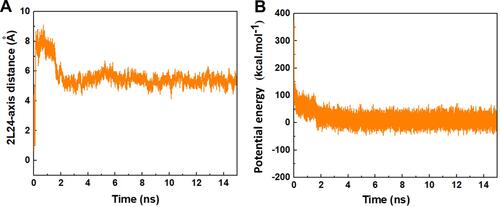 Figure 5 (A) The distance between the CoM of the peptide HA-FD-13 and the central axis of BNNT as a function of simulation time. (B) The potential energy of the peptide HA-FD-13 in the BNNT-peptide complex as a function of simulation time.