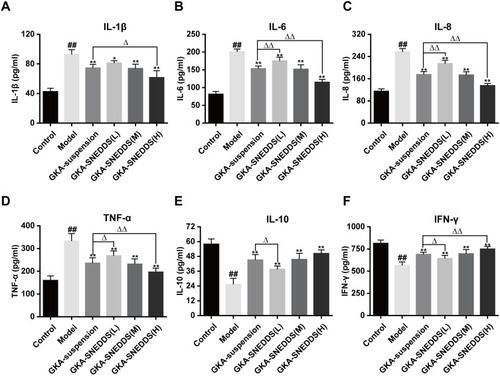 Figure 5 Effects of GKA-SNEDDS on inflammatory cytokines. Data are presented as mean ± SD (n=8). ##p < 0.01 compared with the control group, *p < 0.05 and **p < 0.01 compared with the model group, Δp < 0.05 and ΔΔp < 0.01 compared with the GKA-suspension-treated group.