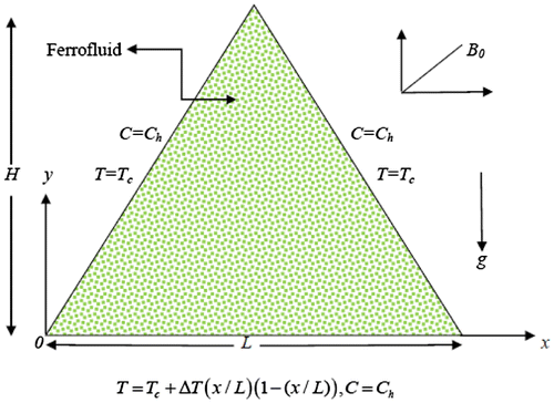 Figure 1. Physical model of the problem with boundary conditions.