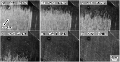 Figure 4. High-magnification ECC images taken during heating at (a) 27°C, (b) 45°C, (c) 50°C, (d) 55°C, (e) 60°C, and (f) 65°C