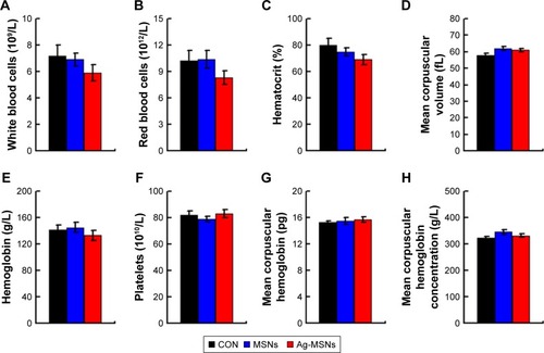 Figure 10 Hematology data for the oral exposure of Ag-MSNs.Notes: The changes in white blood cells (A), red blood cells (B), hematocrit (C), mean corpuscular volume (D), hemoglobin (E), platelets (F), mean corpuscular hemoglobin (G), and mean corpuscular hemoglobin concentration (H) in control mice, MSN-treated mice, and Ag-MSN-treated mice after 30 days of treatment. Each bar represents mean±SD, n=6.Abbreviations: Ag-MSNs, silver-decorated mesoporous silica nanoparticles; CON, control; MSNs, mesoporous silica nanoparticles.