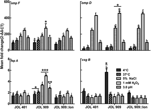 Figure 4. Expression of bacterial cell surface protein genes during stress treatments.