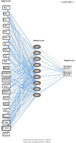 Figure 1 The neural networks topology with multi-layered perceptron. The figure illustrates twenty-one independent variables entering into the NNs model through the first layer neurons followed by computational weighing in the second (hidden) layer by sigmoid activation function. The output layer comprises two neurons that generate the model outcome using the softmax function. The grey and blue lines represent the synaptic weight, either >0 or <0, respectively. In addition to AUROC curve, this NNs model accuracy rate was 95.1% and 94.1% in training and testing phase.