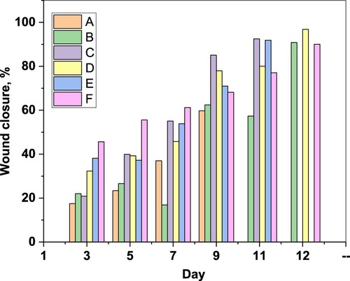 Figure 13. Wound contraction caused by A-F in the presence of light as observed on alternative days. Wounds were created on day 1.