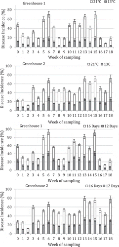 Fig. 7 Disease incidence on tomato fruit samples originating from two greenhouses in Delta and Langley, BC and stored at 21°C or 13°C for 12 days. A second batch of samples was stored at 21°C for 12 or 16 days. The number of fruits showing symptoms of disease was rated from a total of 25 fruits in each treatment. Vertical bars represent standard errors from five replicates.