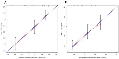 Figure 7 Calibration curve of 3-year (A) and 5-year (B) overall survival (OS) for the LUAD patients. Nomogram‐predicted probability of OS was expressed by the x-axis; actual OS was expressed by the y-axis.