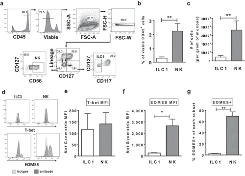 Figure 1. Characterization of Group 1 ILCs within the human colonic lamina propria. (a) Representative flow cytometry gating strategy to identify NK cells and ILC1s in human colonic tissue. (b) Frequencies of NK cells and ILC1s in the colon lamina propria layer as a percent of viable CD45+ cells and (c) as number of cells per gram of colonic mucosa ex vivo. N = 7. (d) Representative flow cytometry depicting the expression of T-bet and EOMES by NK cells and ILC1s. (e) Net geometric mean fluorescent intensity of NK cells and ILC1s expressing the transcription factors T-bet (N = 7) or (f) EOMES (N = 4) ex vivo. (g) Percentages of NK cells and ILC1s expressing the EOMES (N = 4) ex vivo. Bars are mean + S.E.M. Statistical analysis performed was paired t-test. *p < .05, **p < .01.