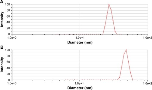 Figure 4 Particle size of A22 before lyophilization (A) and after lyophilization (B).