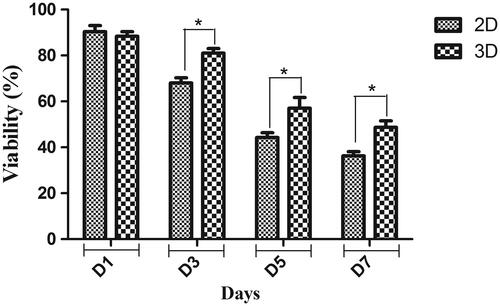 Figure 3. MTT cell proliferation assay of hiPSCs on polyethersulfone-collagen nanofibrous scaffold (3D) and tissue culture polystyrene (2D) at days 1, 3, 5 and 7 of cell culture. *p < .05.