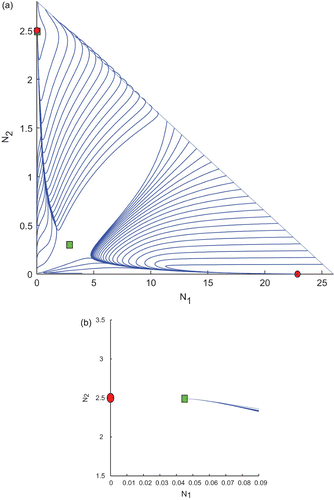 Figure 5. Trajectories of the system Equation(2) for k 1=0.2 and k 2=0.8 taken from the region R 2 of Figure 3 and the other parameter values are taken from Table 2. We observe the existence of two interior and two boundary equilibrium points among which one interior and one boundary equilibrium points are LAS. (b) An enlarged portion of (a).