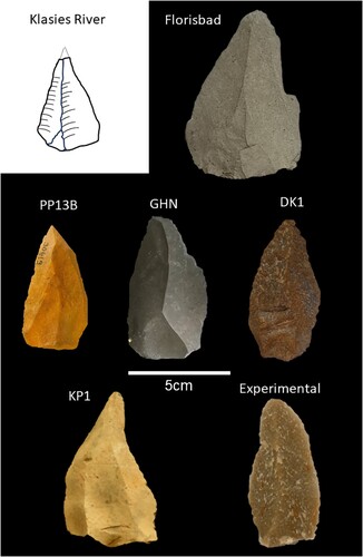 Figure 3. Example of MSA point from the six archaeological and one experimental assemblage. Klasies River main site: pointed flake-blade no. 18 from MSA1 layers redrawn from Singer and Wymer (Citation1982, p. 56). Florisbad: Upper F Layer, point 1008 (photo by. P. Chiwara-Maenzanise). PP13B: Lot 419 (Eastern Area Roof Spall-Upper), plotted find no. 30619. GHN: Lot 282 (DBSR), plotted find no. 4281 (photo by. P. Chiwara-Maenzanise). DK1: Lot 8324 (Layer 14), ID no. 1587. KP1: Stratum 4a, SPC2373 (photo by J. Wilkins). Experimental: produced by Kyle S. Brown on Table Mountain Sandstone quartzite.